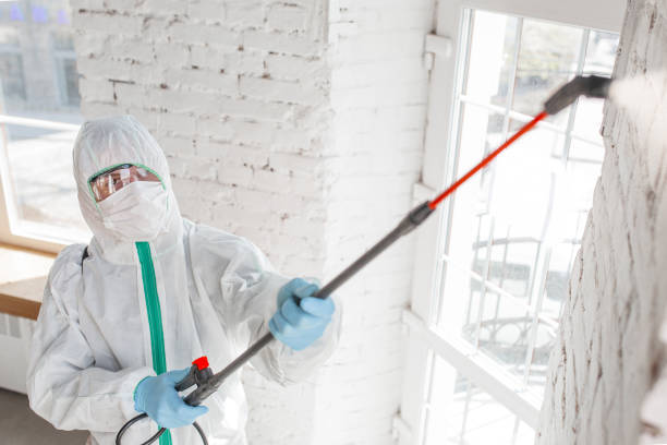 Professional Mold Removal in Willamina, OR