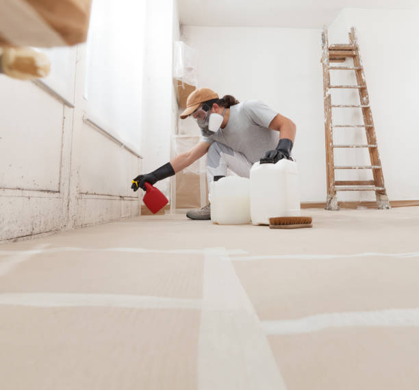 Best Biohazard Mold Removal  in Willamina, OR